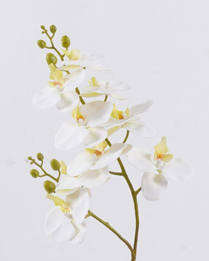 Artificial Flower 30*23*58cm Orchid in PP pot GS-03325048R-W1 2026Mar YeahFlower is one of Chinese leading OEM manufacturers and exporters , supplying the silk flowers, wholesale artificial trees