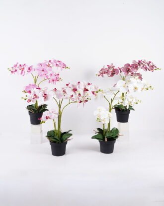 Artificial Flower 60*50*62cm Orchid in PP pot GS-03325150 2026Mar YeahFlower is one of Chinese leading OEM manufacturers and exporters , supplying the silk flowers, wholesale artificial trees Artificial Flower 60*50*62cm Orchid in PP pot GS-03325150 2026Mar YeahFlower is one of Chinese leading OEM manufacturers and exporters , supplying the silk flowers, wholesale artificial trees