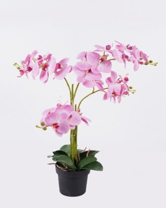Artificial Flower 60*50*62cm Orchid in PP pot GS-03325150 2026Mar YeahFlower is one of Chinese leading OEM manufacturers and exporters , supplying the silk flowers, wholesale artificial trees Artificial Flower 60*50*62cm Orchid in PP pot GS-03325150 2026Mar YeahFlower is one of Chinese leading OEM manufacturers and exporters , supplying the silk flowers, wholesale artificial trees