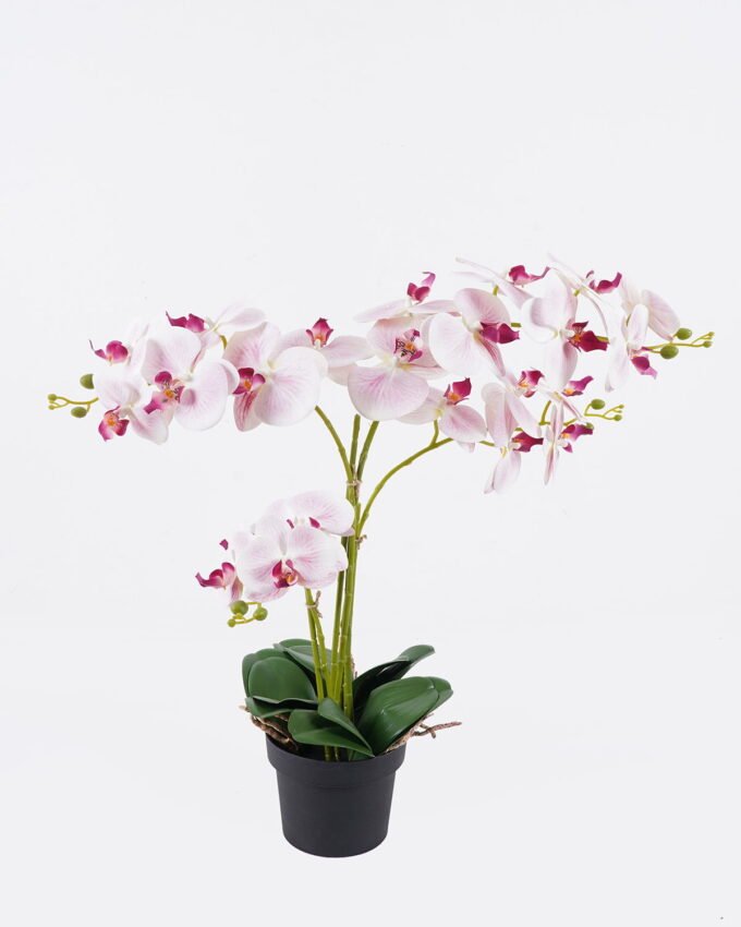 Artificial Flower 60*50*62cm Orchid in PP pot GS-03325150 2026Mar YeahFlower is one of Chinese leading OEM manufacturers and exporters , supplying the silk flowers, wholesale artificial trees