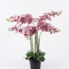 Artificial Flower Orchid in PP pot GS-03325151-R1_7 Artificial Flower 55*55*80cm Orchid in PP pot GS-03325151-R1 2026Mar YeahFlower is one of Chinese leading OEM manufacturers and exporters , supplying the silk flowers, wholesale artificial trees