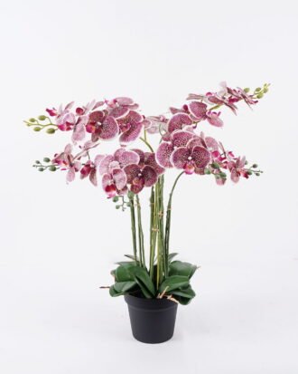 Artificial Flower 55*55*80cm Orchid in PP pot GS-03325151-R1 2026Mar YeahFlower is one of Chinese leading OEM manufacturers and exporters , supplying the silk flowers, wholesale artificial trees