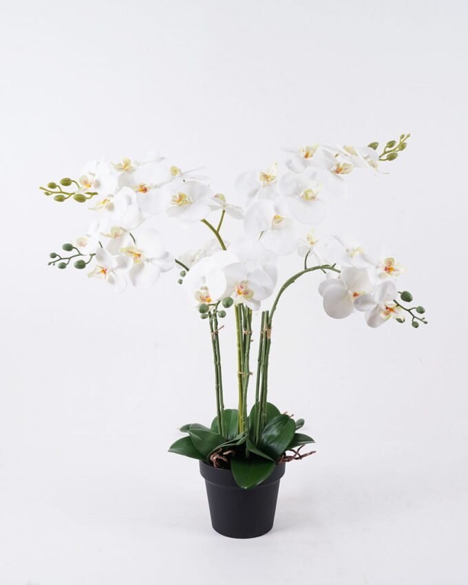 Artificial Flower Orchid in PP pot GS-03325151-R1_8 Artificial Flower 55*55*80cm Orchid in PP pot GS-03325151-R1 2026Mar YeahFlower is one of Chinese leading OEM manufacturers and exporters , supplying the silk flowers, wholesale artificial trees