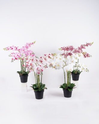 Artificial Flower 55*55*80cm Orchid in PP pot GS-03325151 2026Mar YeahFlower is one of Chinese leading OEM manufacturers and exporters , supplying the silk flowers, wholesale artificial trees Artificial Flower 55*55*80cm Orchid in PP pot GS-03325151 2026Mar YeahFlower is one of Chinese leading OEM manufacturers and exporters , supplying the silk flowers, wholesale artificial trees