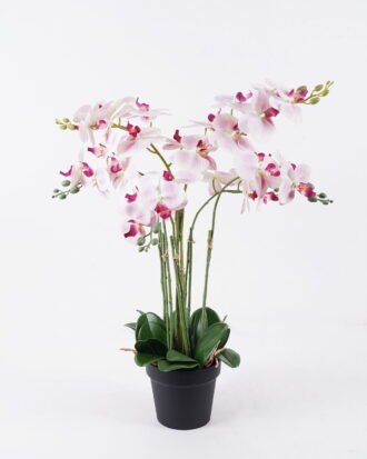 Artificial Flower 55*55*80cm Orchid in PP pot GS-03325151 2026Mar YeahFlower is one of Chinese leading OEM manufacturers and exporters , supplying the silk flowers, wholesale artificial trees Artificial Flower 55*55*80cm Orchid in PP pot GS-03325151 2026Mar YeahFlower is one of Chinese leading OEM manufacturers and exporters , supplying the silk flowers, wholesale artificial trees