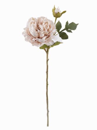 Artificial Flower 20*20*68cm Dahlia *2 single stem GS-58825032C-O1 2026Apr 3,000+ sqm showroom with thousands of artificial flowers, plants & trees ready for global sourcing.