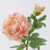 Artificial Flower 18*12*63cm  Peony *2 single stem GS-58825043 2026Apr YeahFlower is one of Chinese leading OEM manufacturers and exporters , supplying the silk flowers, wholesale artificial trees