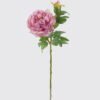 Artificial Flower 18*12*63cm  Peony *2 single stem GS-58825043 2026Apr YeahFlower is one of Chinese leading OEM manufacturers and exporters , supplying the silk flowers, wholesale artificial trees