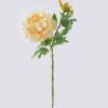 Artificial Flower 18*12*63cm  Peony *2 single stem GS-58825043 2026Apr YeahFlower is one of Chinese leading OEM manufacturers and exporters , supplying the silk flowers, wholesale artificial trees