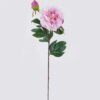Artificial Flower 17*17*70cm Peony *2 single stem GS-73825017-R1 2026May 3,000+ sqm showroom with thousands of artificial flowers, plants & trees ready for global sourcing.