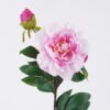 Artificial Flower 17*17*70cm Peony *2 single stem GS-73825017-R1 2026May 3,000+ sqm showroom with thousands of artificial flowers, plants & trees ready for global sourcing.