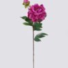 Artificial Flower 17*17*70cm Peony *2 single stem GS-73825017 2026May 3,000+ sqm showroom with thousands of artificial flowers, plants & trees ready for global sourcing.