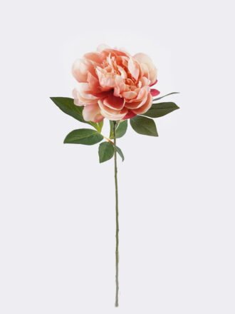 Artificial Flower 25*15*69cm Peony single stem GS-14525042 2026Mar 3,000+ sqm showroom with thousands of artificial flowers, plants & trees ready for global sourcing.