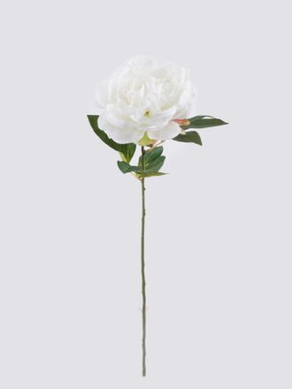 Artificial Flower 25*15*69cm Peony single stem GS-14525042-R2 2026Mar 3,000+ sqm showroom with thousands of artificial flowers, plants & trees ready for global sourcing.