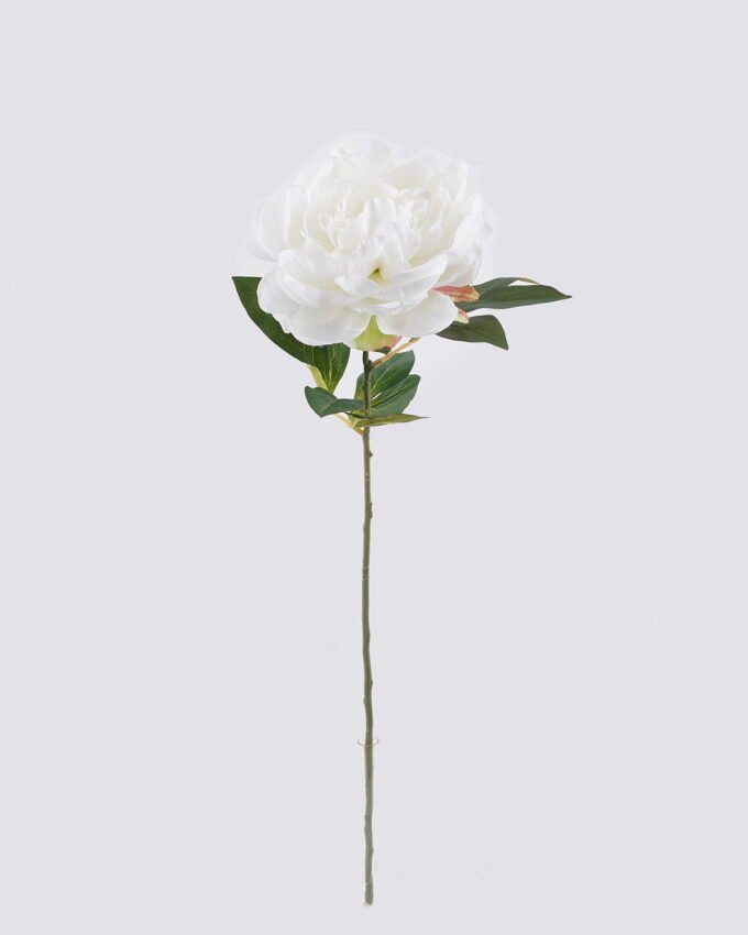Artificial Flower 25*15*69cm Peony single stem GS-14525042-W1 2026Mar YeahFlower is one of Chinese leading OEM manufacturers and exporters , supplying the silk flowers, wholesale artificial trees