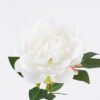 Artificial Flower 25*15*69cm Peony single stem GS-14525042-W1 2026Mar YeahFlower is one of Chinese leading OEM manufacturers and exporters , supplying the silk flowers, wholesale artificial trees