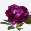 Artificial Flower Peony single stem GS-14525042-Z1_4 Artificial Flower 25*15*69cm Peony single stem GS-14525042-Z1 2026Mar YeahFlower is one of Chinese leading OEM manufacturers and exporters , supplying the silk flowers, wholesale artificial trees