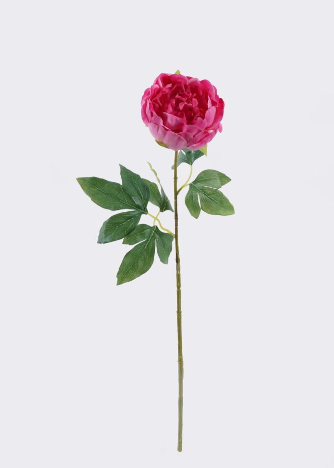 Artificial Flower Peony single stem moist real touch GS-46125003-P1_3 Artificial Flower 16*7*60cm Peony single stem/moist real touch GS-46125003-P1 2026Apr YeahFlower is one of Chinese leading OEM manufacturers and exporters , supplying the silk flowers, wholesale artificial trees