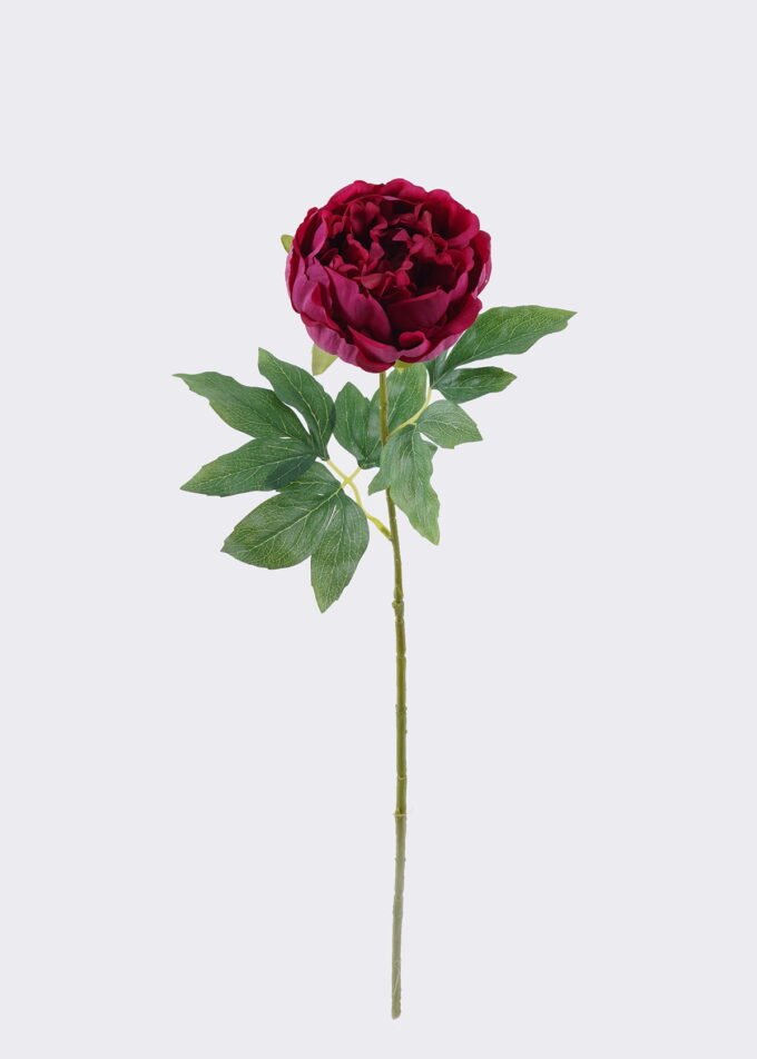 Artificial Flower 16*7*60cm Peony single stem/moist real touch GS-46125003-R1 2026Apr YeahFlower is one of Chinese leading OEM manufacturers and exporters , supplying the silk flowers, wholesale artificial trees