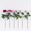 Artificial Flower Peony single stem moist real touch GS-46125003_1 Artificial Flower 16*7*60cm Peony single stem/moist real touch GS-46125003 2026Apr YeahFlower is one of Chinese leading OEM manufacturers and exporters , supplying the silk flowers, wholesale artificial trees