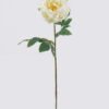 Artificial Flower Peony single stem moist real touch GS-46125003_3 Artificial Flower 16*7*60cm Peony single stem/moist real touch GS-46125003 2026Apr YeahFlower is one of Chinese leading OEM manufacturers and exporters , supplying the silk flowers, wholesale artificial trees