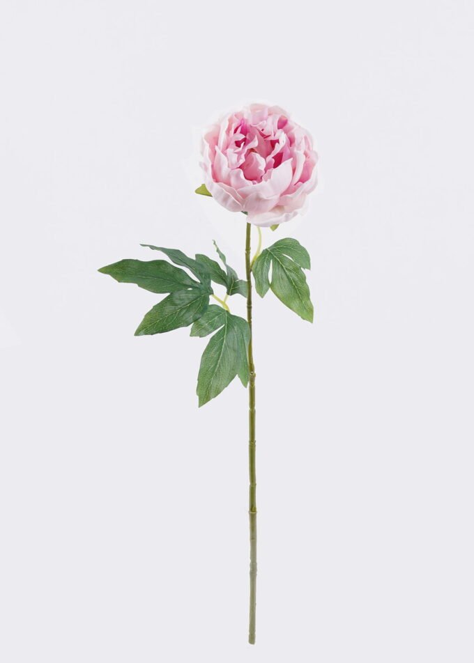 Artificial Flower Peony single stem moist real touch GS-46125003_4 Artificial Flower 16*7*60cm Peony single stem/moist real touch GS-46125003 2026Apr YeahFlower is one of Chinese leading OEM manufacturers and exporters , supplying the silk flowers, wholesale artificial trees