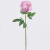 Artificial Flower Peony single stem moist real touch GS-46125003_6 Artificial Flower 16*7*60cm Peony single stem/moist real touch GS-46125003 2026Apr YeahFlower is one of Chinese leading OEM manufacturers and exporters , supplying the silk flowers, wholesale artificial trees