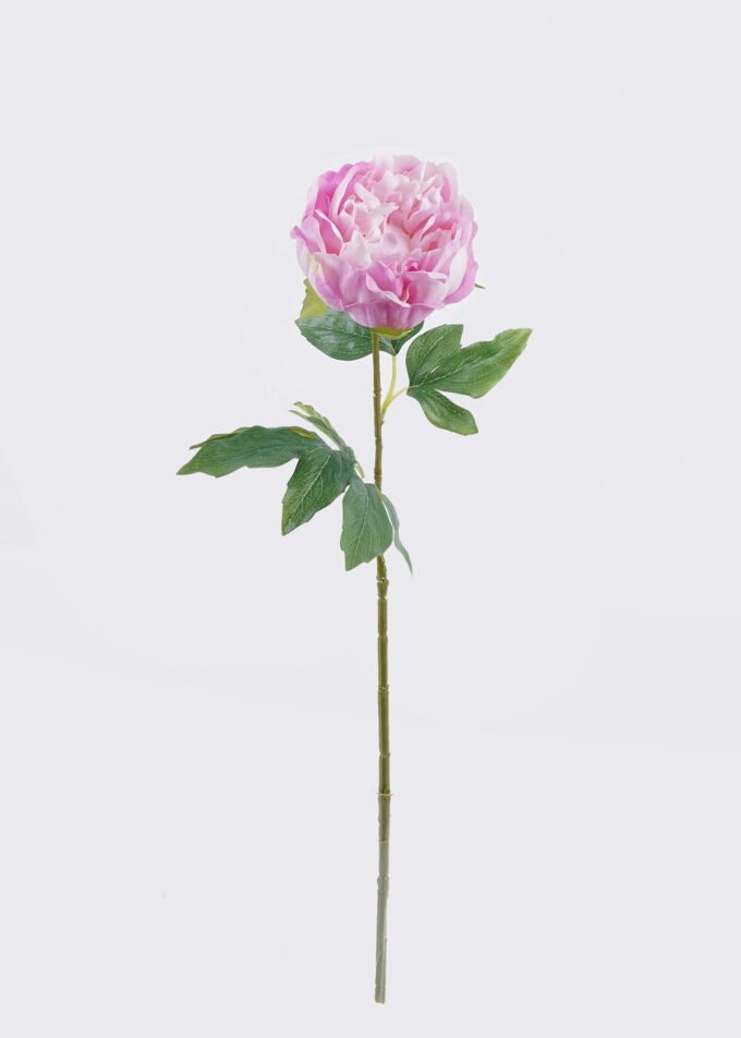 Artificial Flower Peony single stem moist real touch GS-46125003_6 Artificial Flower 16*7*60cm Peony single stem/moist real touch GS-46125003 2026Apr YeahFlower is one of Chinese leading OEM manufacturers and exporters , supplying the silk flowers, wholesale artificial trees