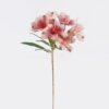 Artificial Flower Peruvian lily single stem GS-15425048-P1_3 Artificial Flower 16*9*61cm Peruvian lily single stem GS-15425048-P1 2026Mar YeahFlower is one of Chinese leading OEM manufacturers and exporters , supplying the silk flowers, wholesale artificial trees
