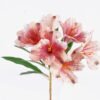 Artificial Flower Peruvian lily single stem GS-15425048-P1_6 Artificial Flower 16*9*61cm Peruvian lily single stem GS-15425048-P1 2026Mar YeahFlower is one of Chinese leading OEM manufacturers and exporters , supplying the silk flowers, wholesale artificial trees