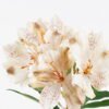 Artificial Flower 16*9*61cm Peruvian lily single stem GS-15425048-W1 2026Mar YeahFlower is one of Chinese leading OEM manufacturers and exporters , supplying the silk flowers, wholesale artificial trees