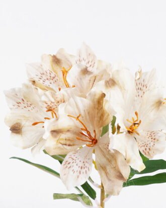 Artificial Flower 16*9*61cm Peruvian lily single stem GS-15425048-W1 2026Mar YeahFlower is one of Chinese leading OEM manufacturers and exporters , supplying the silk flowers, wholesale artificial trees Artificial Flower 16*9*61cm Peruvian lily single stem GS-15425048-W1 2026Mar YeahFlower is one of Chinese leading OEM manufacturers and exporters , supplying the silk flowers, wholesale artificial trees
