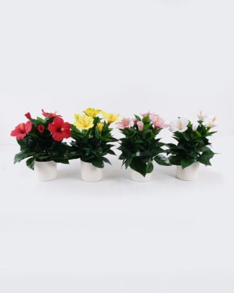 Artificial Flower 29*29*33cm Petunia *5 in PP pot/102 lvs GS-30625020 2026Apr YeahFlower is one of Chinese leading OEM manufacturers and exporters , supplying the silk flowers, wholesale artificial trees Artificial Flower 29*29*33cm Petunia *5 in PP pot/102 lvs GS-30625020 2026Apr YeahFlower is one of Chinese leading OEM manufacturers and exporters , supplying the silk flowers, wholesale artificial trees