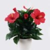 Artificial Flower 29*29*33cm Petunia *5 in PP pot/102 lvs GS-30625020 2026Apr YeahFlower is one of Chinese leading OEM manufacturers and exporters , supplying the silk flowers, wholesale artificial trees