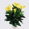 Artificial Flower 29*29*33cm Petunia *5 in PP pot/102 lvs GS-30625020 2026Apr YeahFlower is one of Chinese leading OEM manufacturers and exporters , supplying the silk flowers, wholesale artificial trees