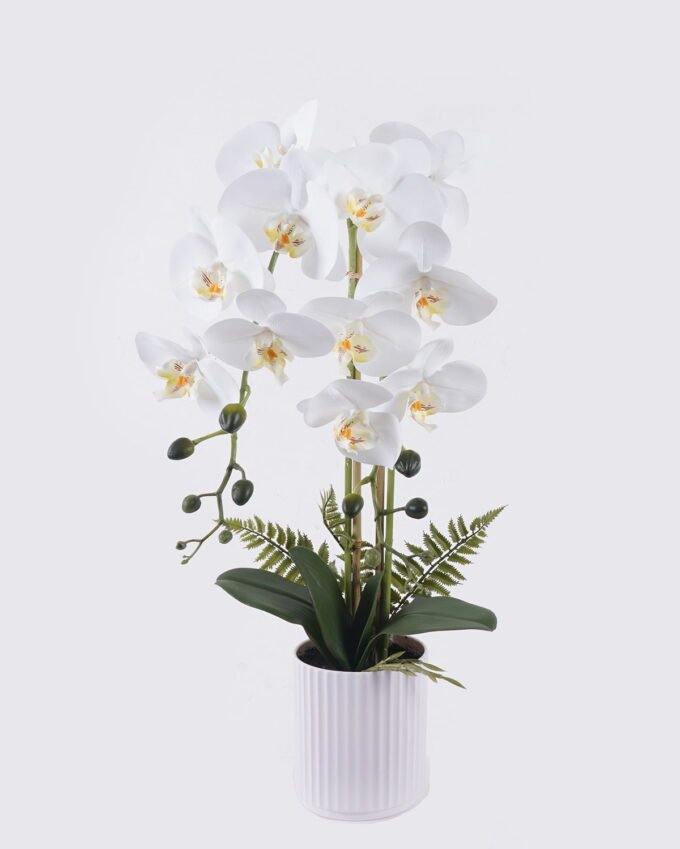 Artificial Flower 27*17*56cm Phalaenopsis *2 in PP pot GS-76325013 2026May 3,000+ sqm showroom with thousands of artificial flowers, plants & trees ready for global sourcing.