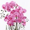 Artificial Flower 35*20*74cm Phalaenopsis *5 in PP pot GS-76325025 2026May 3,000+ sqm showroom with thousands of artificial flowers, plants & trees ready for global sourcing.