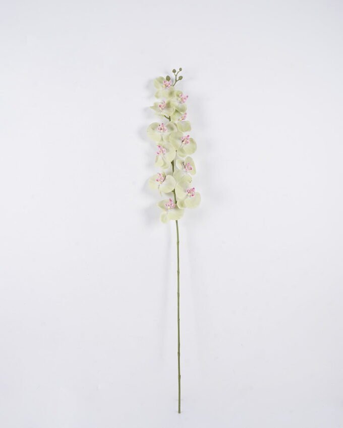 Artificial Flower Phalaenopsis single stem moist real touch GS-14525048_5 Artificial Flower 19*8*138cm Phalaenopsis single stem/moist real touch GS-14525048 2026Mar YeahFlower is one of Chinese leading OEM manufacturers and exporters , supplying the silk flowers, wholesale artificial trees