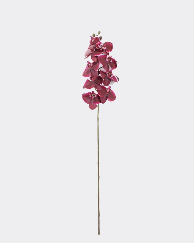 Artificial Flower Phalaenopsis single stem moist real touch GS-14525059_5 Artificial Flower 18*10*96.5cm Phalaenopsis single stem/moist real touch GS-14525059 2026Mar YeahFlower is one of Chinese leading OEM manufacturers and exporters , supplying the silk flowers, wholesale artificial trees