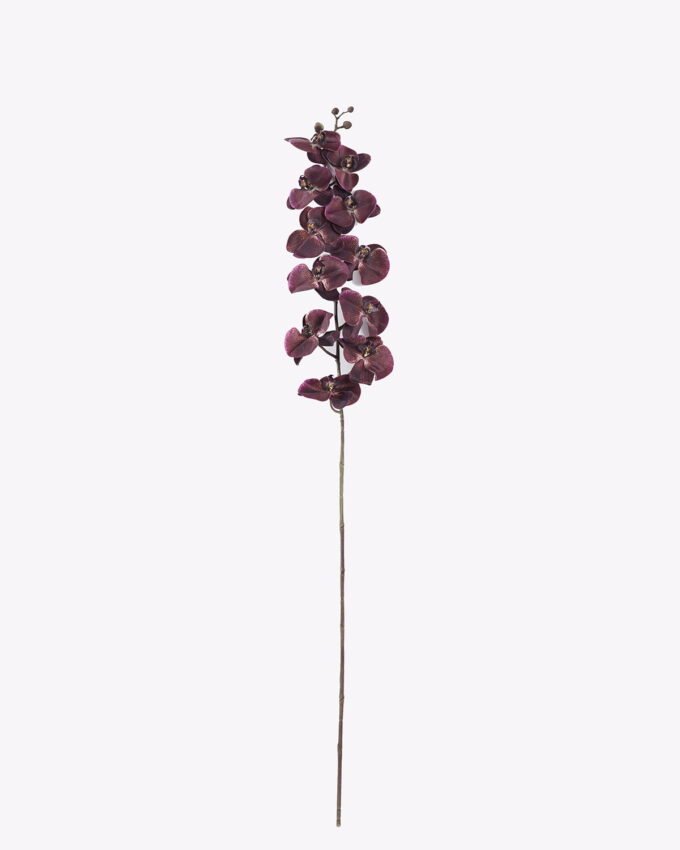 Artificial Flower Phalaenopsis single stem moist real touch GS-14525060_4 Artificial Flower 18*8*138cm Phalaenopsis single stem/moist real touch GS-14525060 2026Mar YeahFlower is one of Chinese leading OEM manufacturers and exporters , supplying the silk flowers, wholesale artificial trees