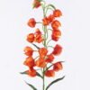 Artificial Flower 15*9*84cm Physalis peruviana single stem GS-77525033 2026May 3,000+ sqm showroom with thousands of artificial flowers, plants & trees ready for global sourcing.