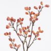 Artificial Flower Pistacia vera 3 single stem GS-57725010-O1_5 Artificial Flower 20*8*65cm Pistacia vera *3 single stem GS-57725010-O1 2026Apr YeahFlower is one of Chinese leading OEM manufacturers and exporters , supplying the silk flowers, wholesale artificial trees