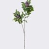 Artificial Flower Pistacia weinmannifolia single stem GS-82125009-Z1_2 Artificial Flower 27*10*95cm Pistacia weinmannifolia single stem GS-82125009-Z1 2026May 3,000+ sqm showroom with thousands of artificial flowers, plants & trees ready for global sourcing.