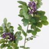 Artificial Flower Pistacia weinmannifolia single stem GS-82125009-Z1_3 Artificial Flower 27*10*95cm Pistacia weinmannifolia single stem GS-82125009-Z1 2026May 3,000+ sqm showroom with thousands of artificial flowers, plants & trees ready for global sourcing.