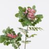 Artificial Flower Pistacia weinmannifolia single stem GS-82125009_2 Artificial Flower 27*10*95cm Pistacia weinmannifolia single stem GS-82125009 2026May 3,000+ sqm showroom with thousands of artificial flowers, plants & trees ready for global sourcing.