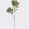 Artificial Flower Pistacia weinmannifolia single stem GS-82125009_3 Artificial Flower 27*10*95cm Pistacia weinmannifolia single stem GS-82125009 2026May 3,000+ sqm showroom with thousands of artificial flowers, plants & trees ready for global sourcing.