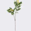 Artificial Flower Pistacia weinmannifolia single stem GS-82125009_5 Artificial Flower 27*10*95cm Pistacia weinmannifolia single stem GS-82125009 2026May 3,000+ sqm showroom with thousands of artificial flowers, plants & trees ready for global sourcing.