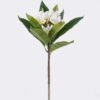 Artificial Flower 20*17*57cm Plumeria single stem/9 lvs GS-70225011-W1 2026Apr YeahFlower is one of Chinese leading OEM manufacturers and exporters , supplying the silk flowers, wholesale artificial trees