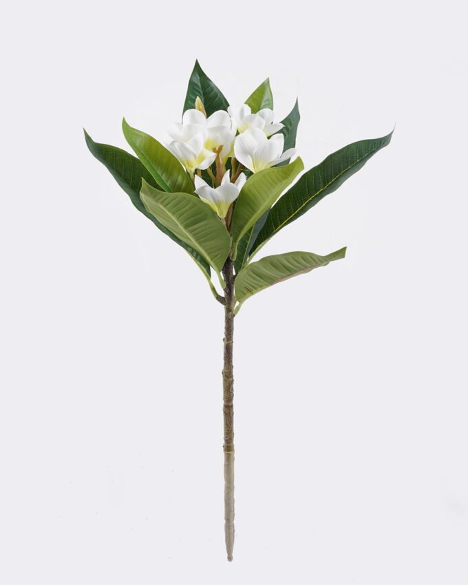 Artificial Flower 20*17*57cm Plumeria single stem/9 lvs GS-70225011-W1 2026Apr YeahFlower is one of Chinese leading OEM manufacturers and exporters , supplying the silk flowers, wholesale artificial trees