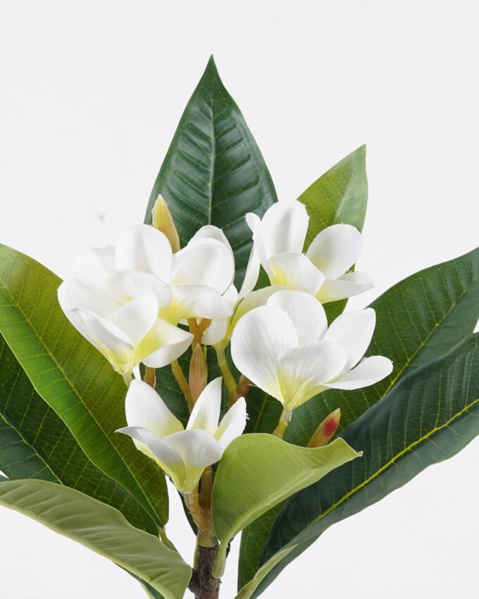 Artificial Flower 20*17*57cm Plumeria single stem/9 lvs GS-70225011-W1 2026Apr YeahFlower is one of Chinese leading OEM manufacturers and exporters , supplying the silk flowers, wholesale artificial trees